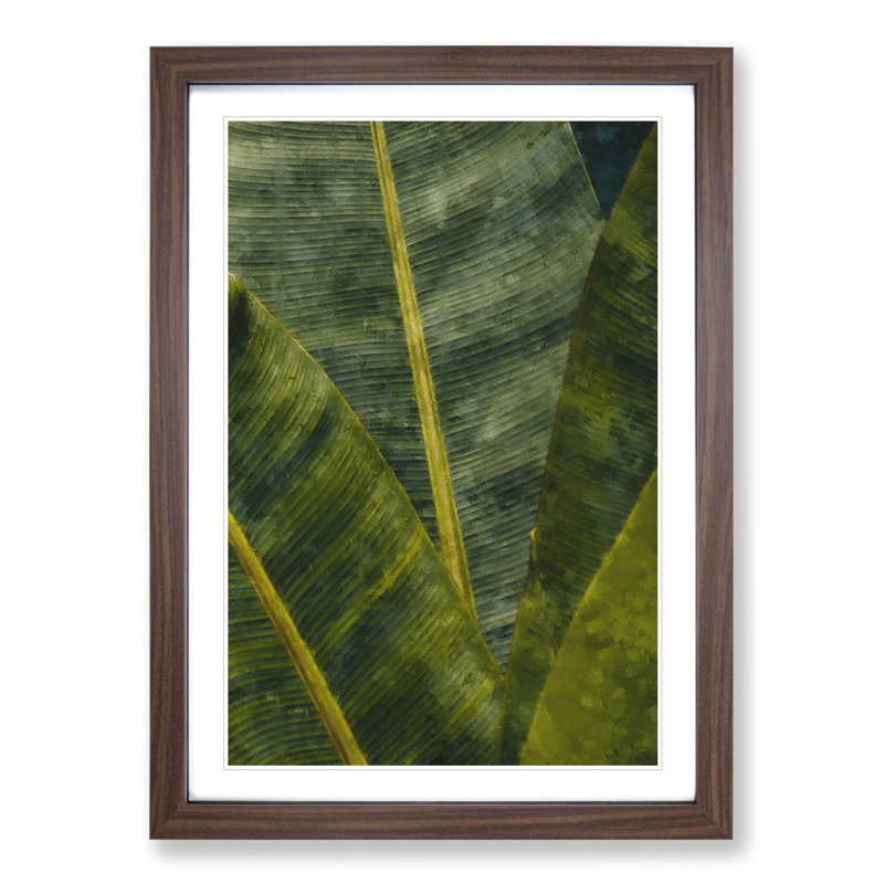 Fronds of a Palm Tree - Framed Print, Walnut Framed, 36cm H x 27cm W x 2cm D