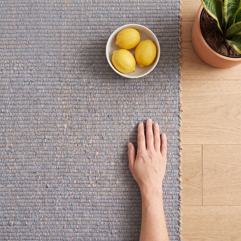 Colston Jute and Cotton Braided Farmhouse Rug, Rectangle 2' x 3'