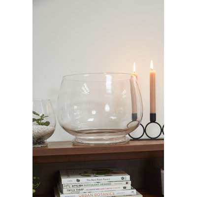 Discovery Terrarium