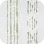 Rideau occultant Ayani (ensemble de 2)-41987532-41987568