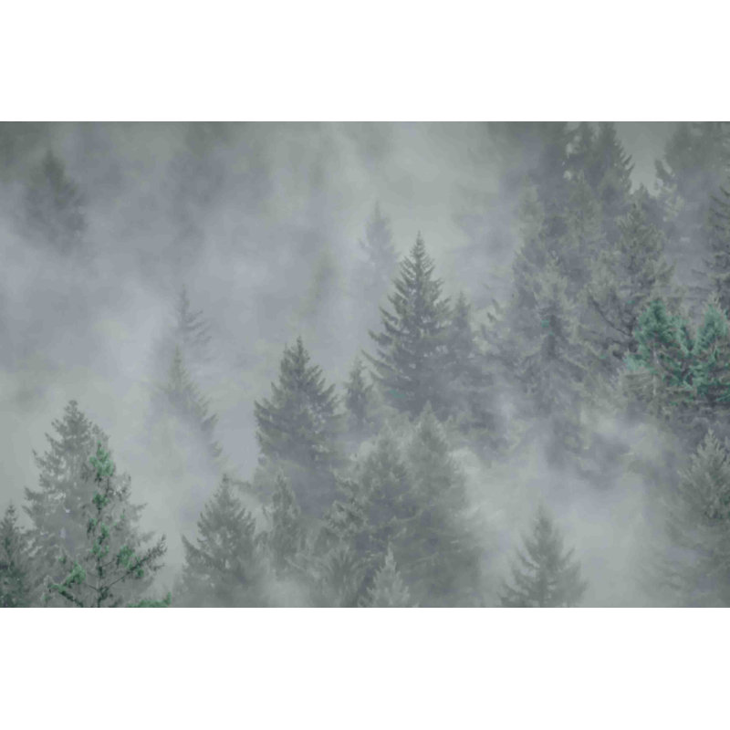Misty Mood by Don Schwartz - Wrapped Canvas Print, 101cm H x 152cm W