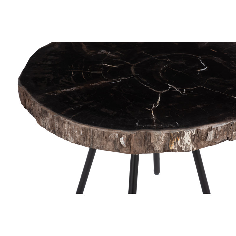 Petrified Coffee Table, Round, Metal Black Base