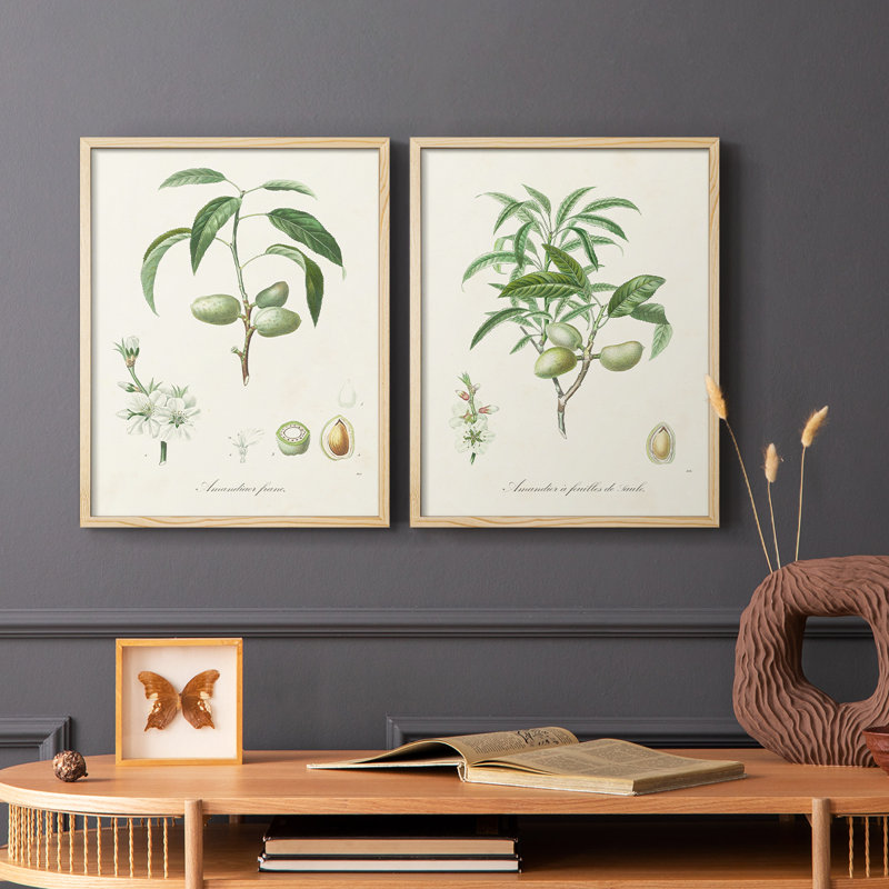 Impression encadrée botanique antique I-Premium - prête à être accrochée - aucun clou requis, H 21 po x l 34 po, Bois naturel