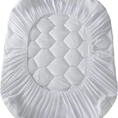Danwood Hypoallergenic Waterproof Bed Bug Resistant Fitted Mattress Protector Mattress Protector Case Pack