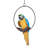 Paradise Parrot Wall Decor