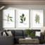 «Herb Trio Triptych», ensemble de 3 reproductions de peintures à l'aquarelle encadrées-29691106-24746847