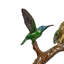Bronze Hummingbirds on Branch Figurine