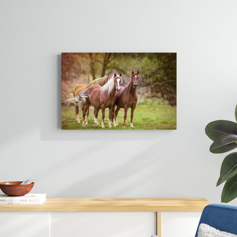 Chevaux dans le champ I, H 20 po x l 30 po x P 1,25 po