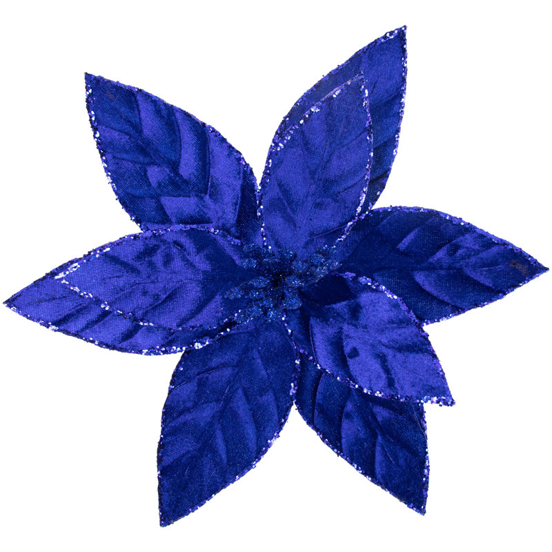 Tiges de poinsettia, Bleu
