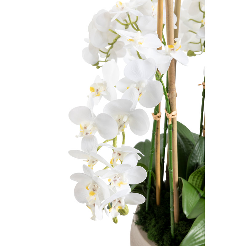Briar Realtouch Orchid Arrangement