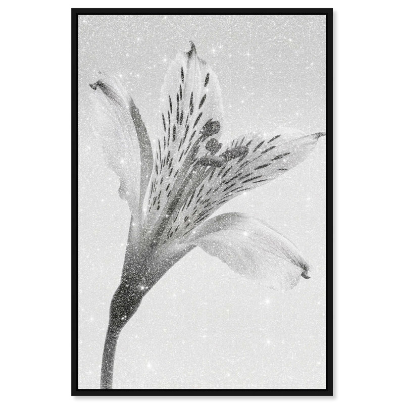 Delicate Spots Print by Oliver Gal, 31"H x 46"W, Black Floater Frame