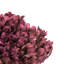 Natural Botanicals 15" Hydrangea with Multiple Branch Segments, Preserved-846458519