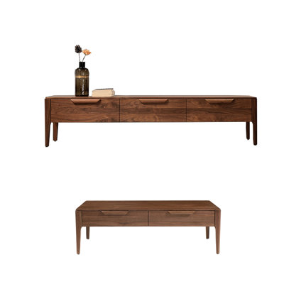 Simple TV stand and coffee table combination