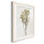 Farmhouse Pressed Flower II - peinture encadrée-1572627888-1572627889