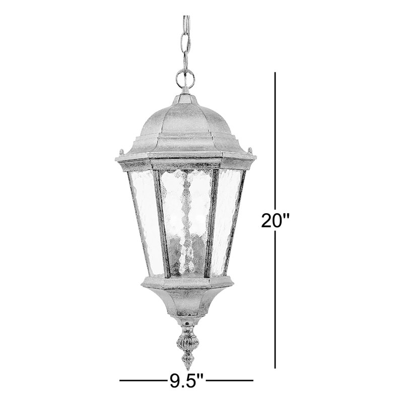 Lanterne suspendue d'extérieur à 2 lumières H 20 po Brook Lane, Noir mat