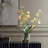 Spider Orchid In Glass Vase
