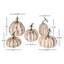 Farmhouse Pumpkins, Set Of 5