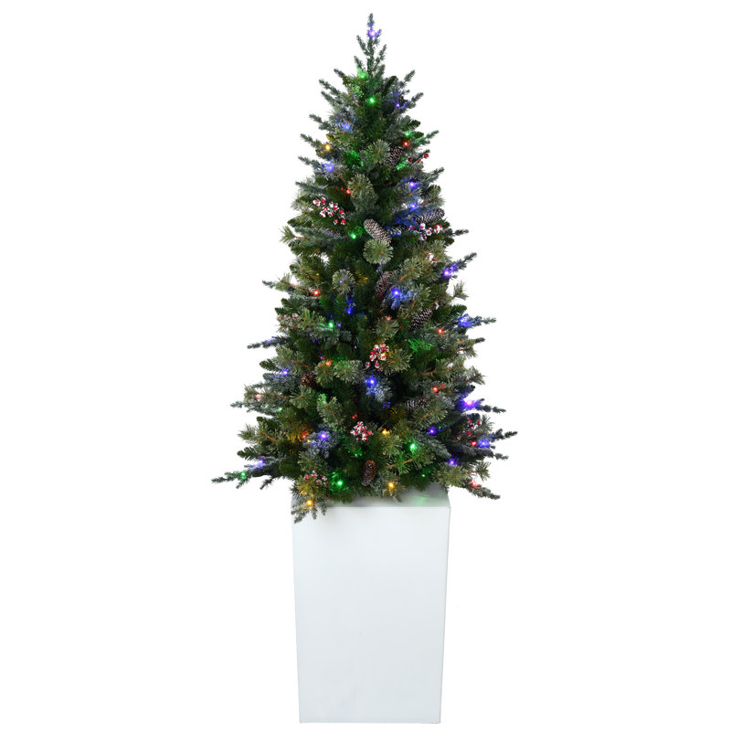 Lighted Pine Christmas Tree