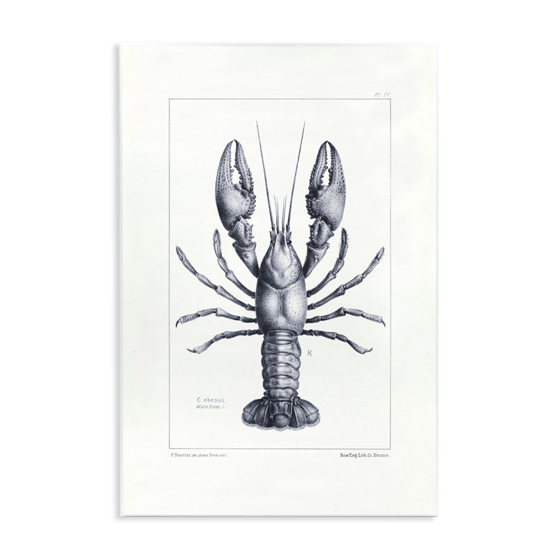 Plaque de spéculation scientifique, homard, par Tina Higgins Designs Inc., H 19 po x l 13 po