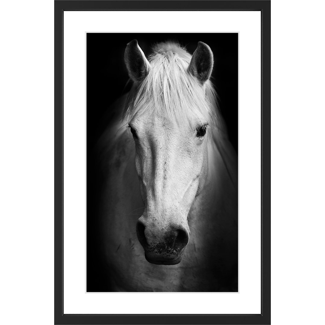 Gentle Soul by Marmont Hill - Picture Frame Photograph Print on Paper Gracie Oaks 