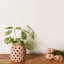 Vase en terre cuite
