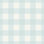 Washed Gingham