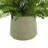 Neve 19" Artificial Fern Plant in Pot