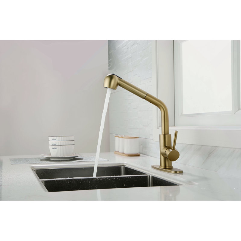 Utility Sink Faucets Single-Handle Pull-Out Laundry Faucet With Dual Spray Function In Stainless Spot Resistant Gold