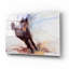 «Horse s'amusant» par Robert Campbell-101618252