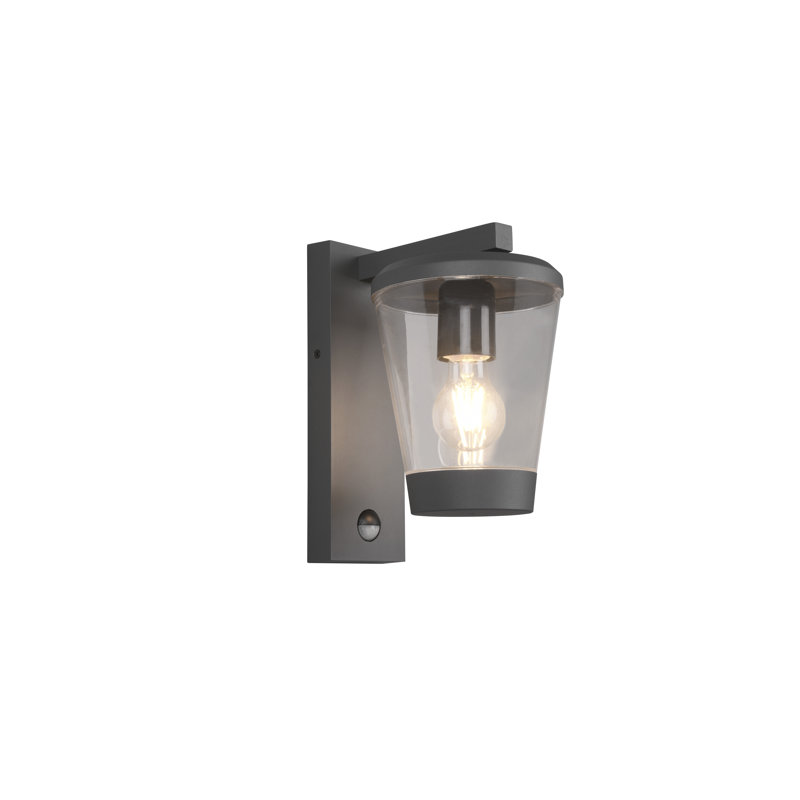 Evelore Outdoor Armed Sconce
