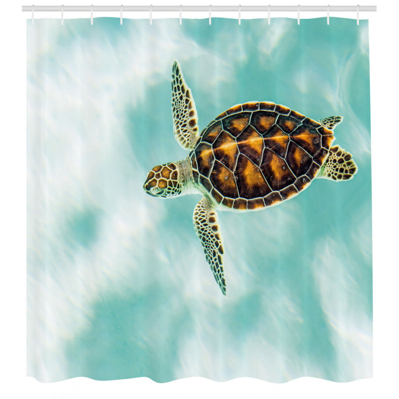 Ensemble de rideau de douche et crochets Turtle, H 70 po x l 69 po