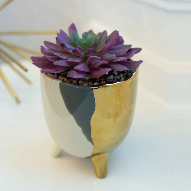 Plante grasse artificielle en pot 2 po, Gris