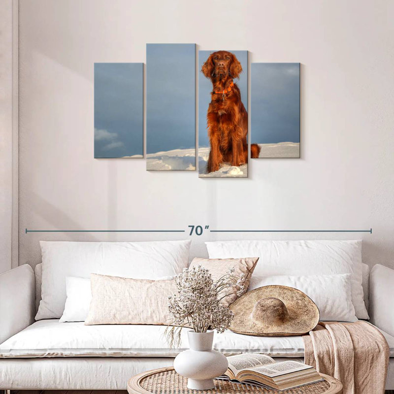 Irish Setter On Snow