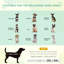 Rashad Polyester Pet Bed-682253663