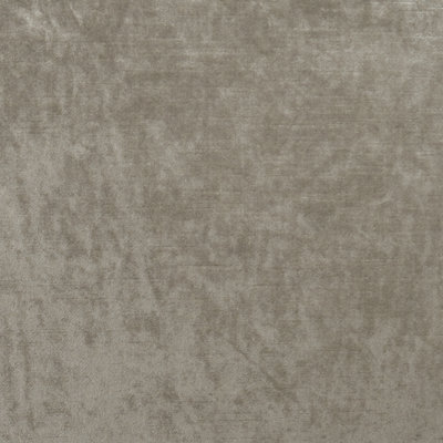 Allure Fabric