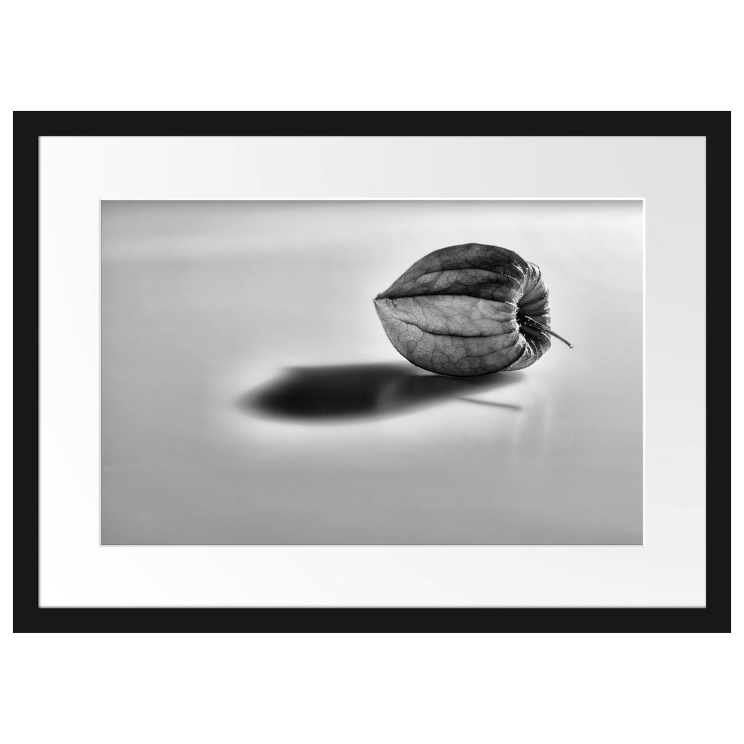 Gerahmtes Poster Kleine Physalis