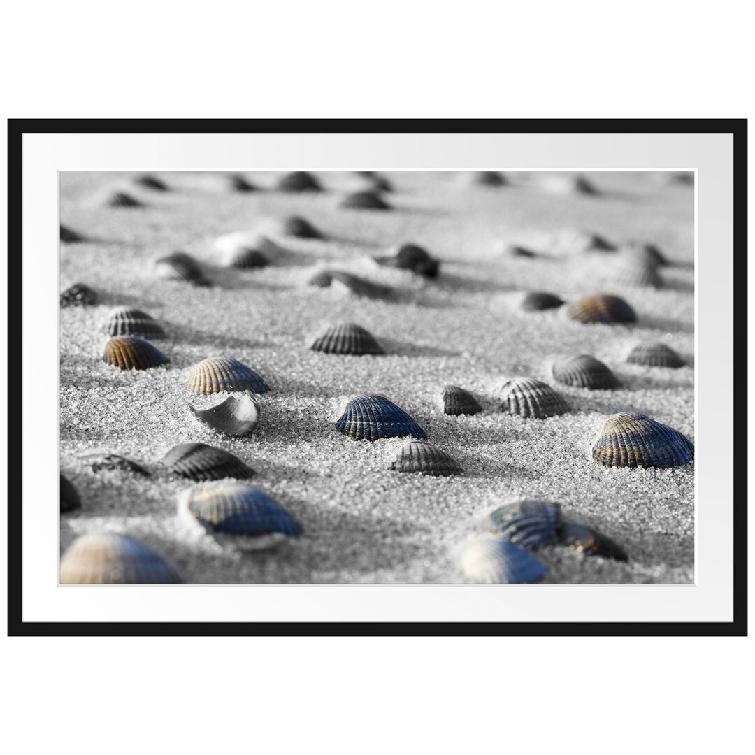 Muscheln im Sand Gerahmter Fotokunstdruck Poster