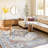 Kucera Flatiron Oriental Gray Area Rug-1919208190