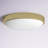 Mila Glass LED Flush Mount-93850937-52412148