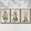 Munting Botanicals I 3 pièces-97709176-97709180