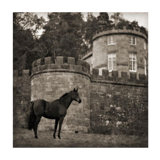 Bolesworth Horse Print by Pete Kelly