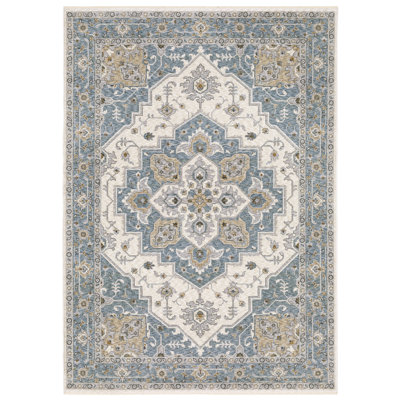 Raymir Oriental Indoor Rug