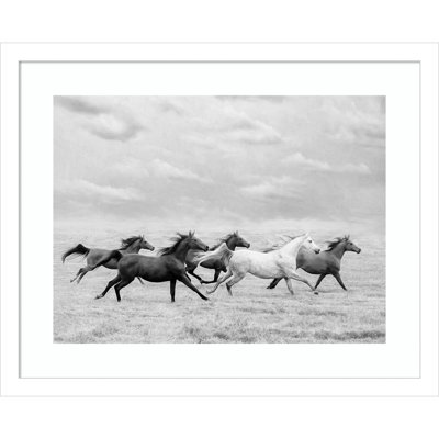 " Horse Run I " by PHBurchett