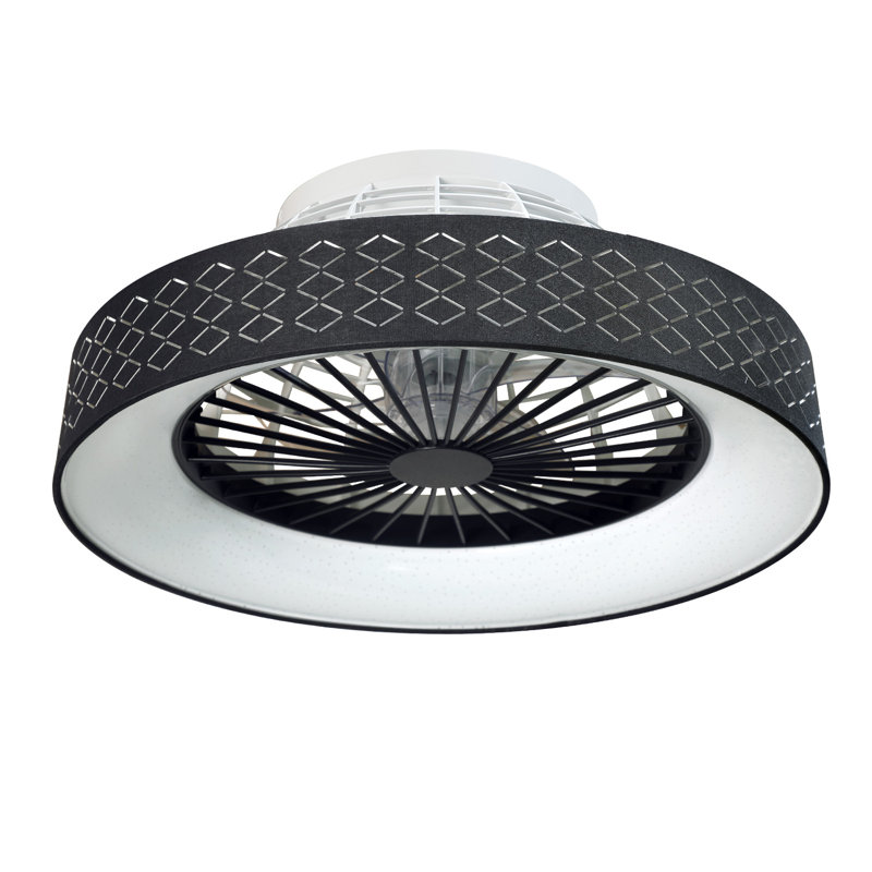 Ridgetop 22.4'' Ceiling Fan with LED Lights, Black