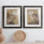 Portrait d'une chouette effraie - ensemble de 2 cadres photo-972495595-972495596