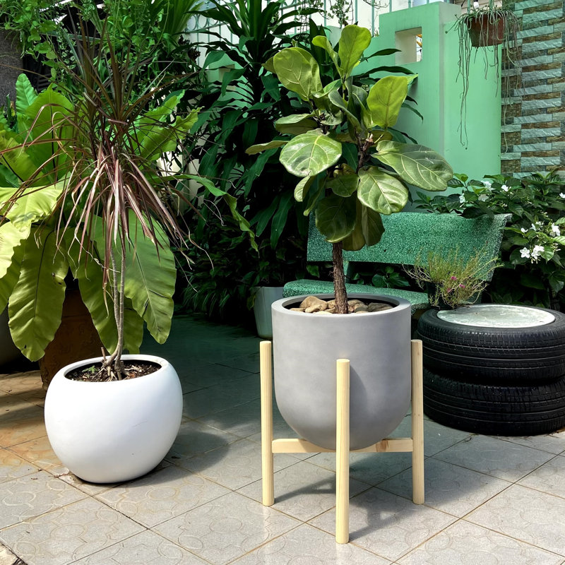 Support pour plante Akea, Naturel, H 18 po x l 18 po x P 18 po