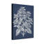 Plantes et fleurs à feuilles argentées sur fond bleu marine-1942069363