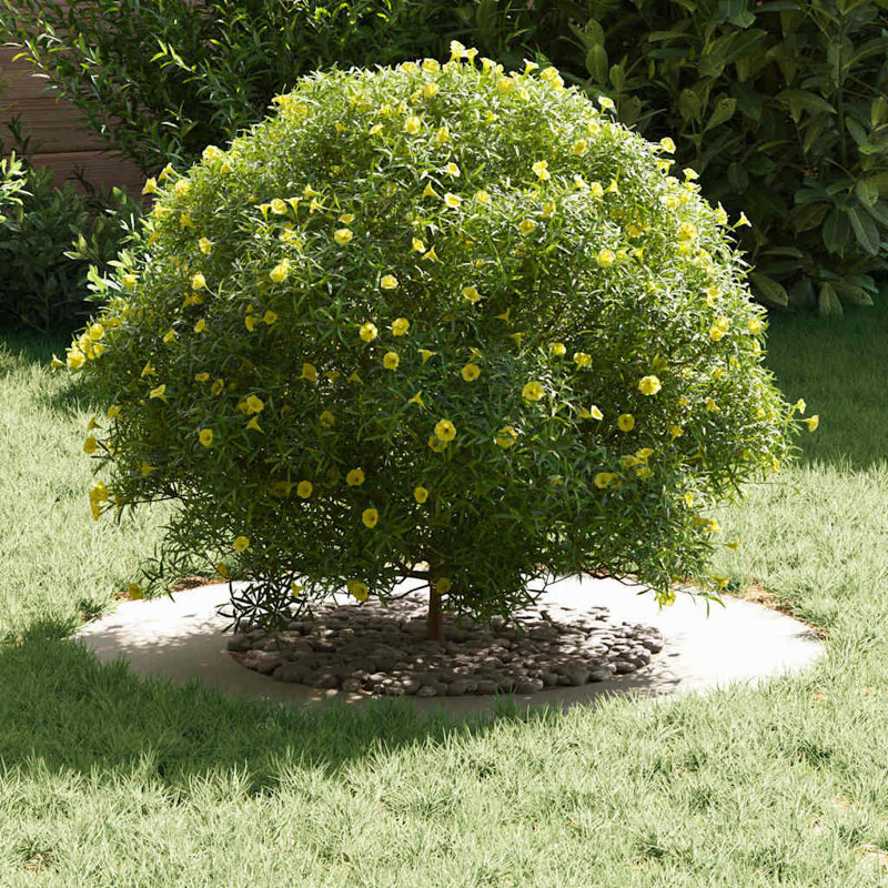 Tree Ring Decorative Garden Modern Protector Outdoor Ornament Base Home, White, 70cmW x 70cmD