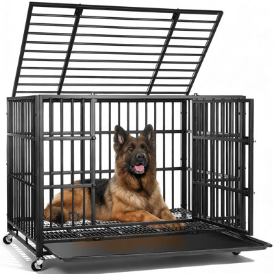 Dero Heavy-Duty Steel Dog Crate