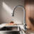 Casa Eclat Kitchen Faucet-101803966